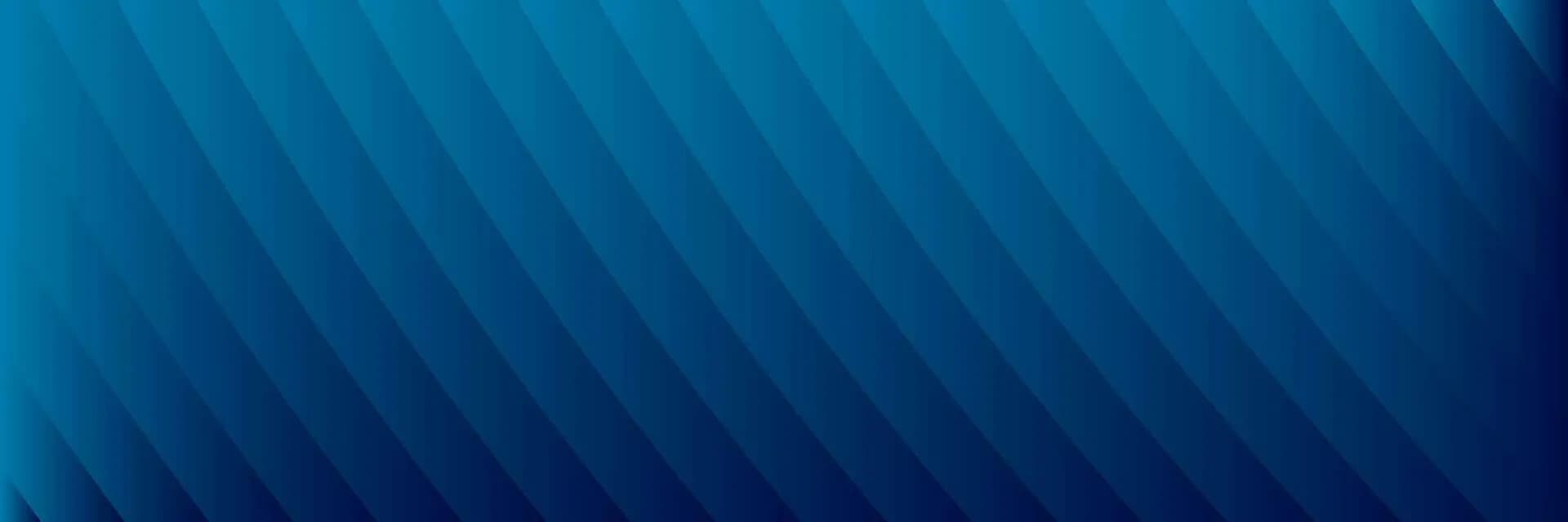 Terms and Conditions